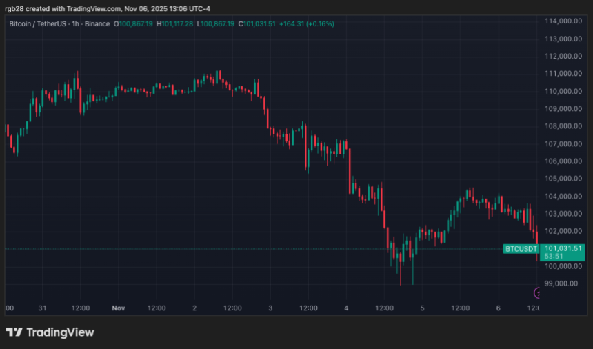 凯茜·伍德下调2030年比特币价格预测至120万美元——为何如此?